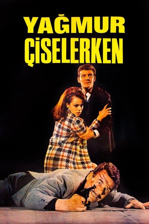 Yağmur Çiselerkenのポスター