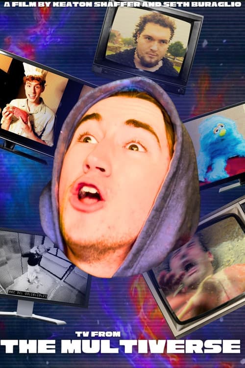 TV From The MULTIVERSE 2!のポスター