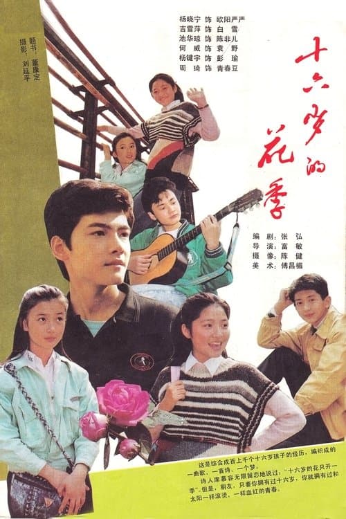 十六岁的花季のポスター