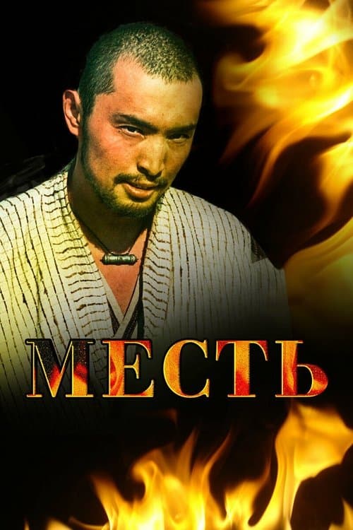 Местьのポスター