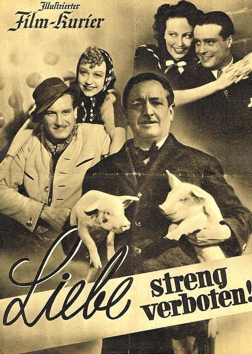 Liebe streng verbotenのポスター