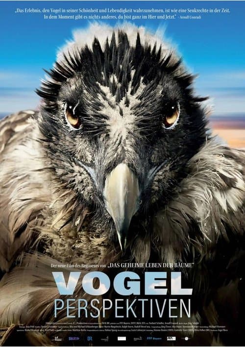 Vogelperspektivenのポスター