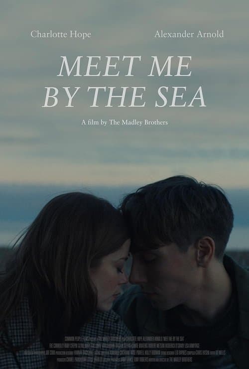 Meet Me by the Seaのポスター