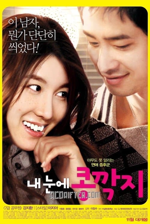 내 눈에 콩깍지のポスター