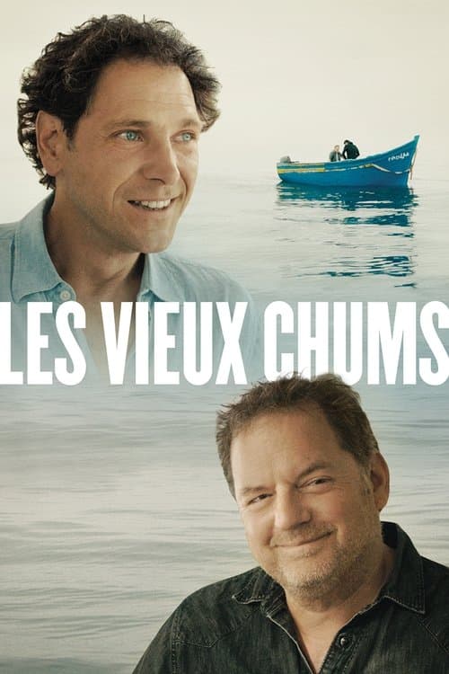 Les vieux chumsのポスター