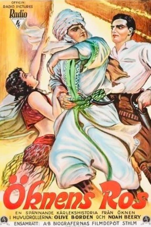 Love In The Desertのポスター