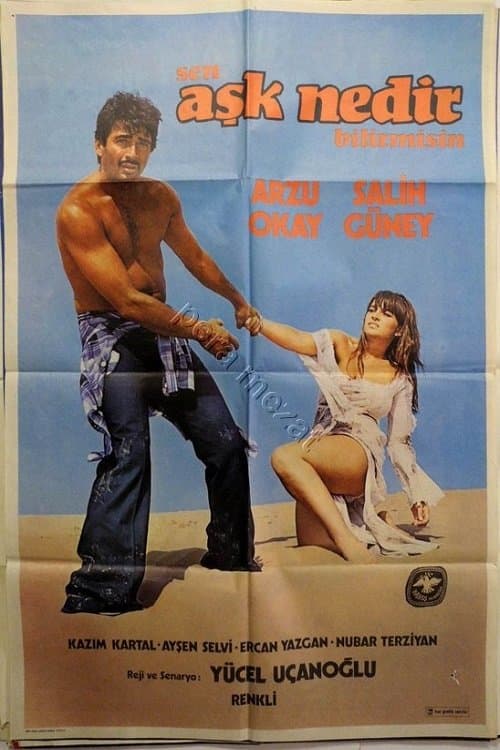 Sen Aşk Nedir Bilir Misinのポスター