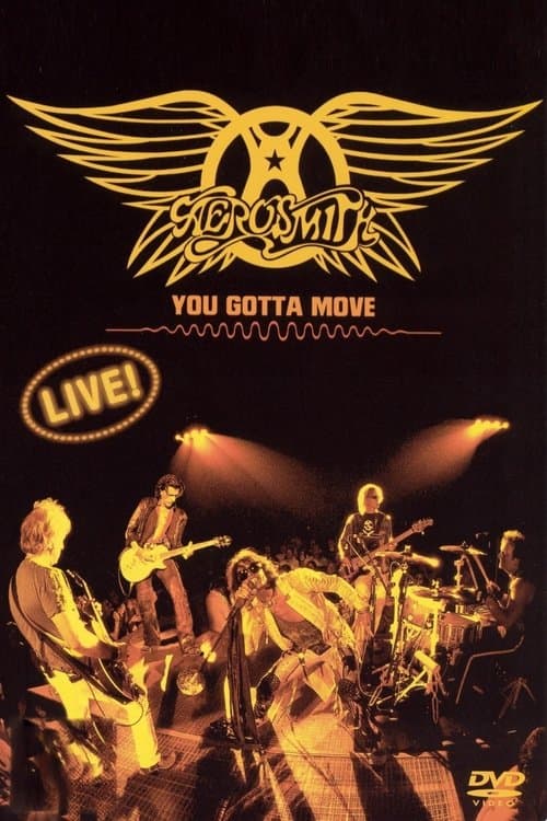 Aerosmith - You Gotta Moveのポスター