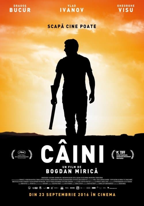 Câiniのポスター