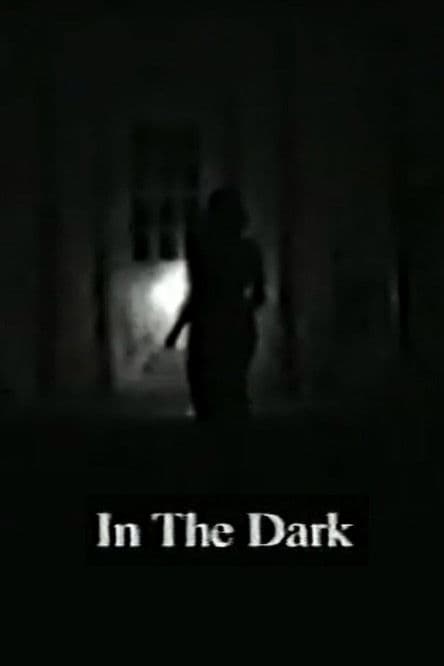 In the Darkのポスター