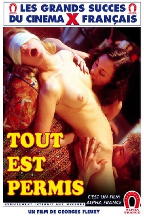 Tout est permisのポスター