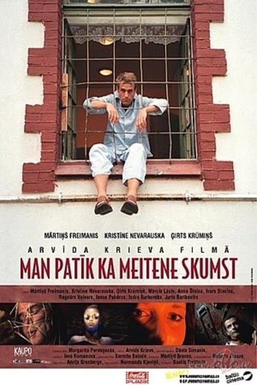 Man patīk, ka meitene skumstのポスター