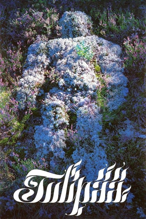 Tulipääのポスター