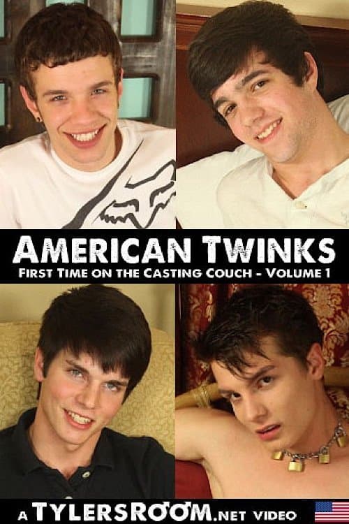 American Twinks 1のポスター