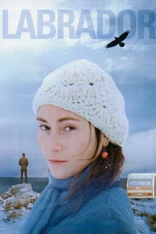 Labradorのポスター