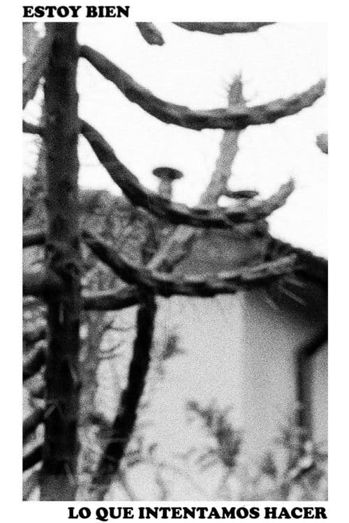 Estoy Bien - Lo Que Intentamos Hacer (Lanzamiento)のポスター