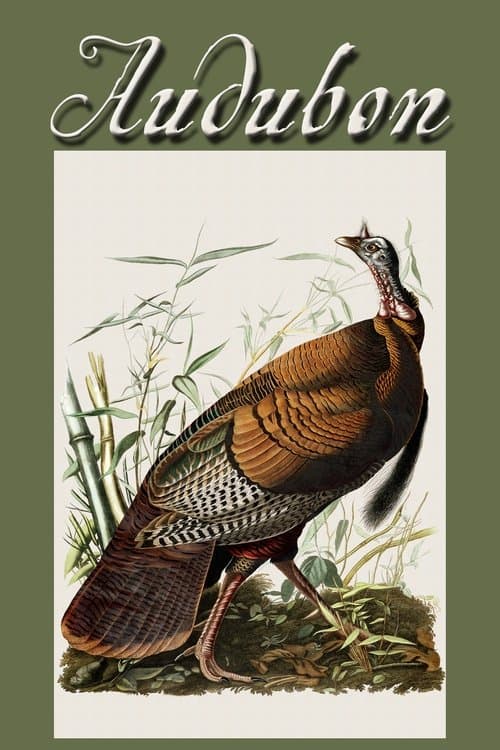 Audubonのポスター
