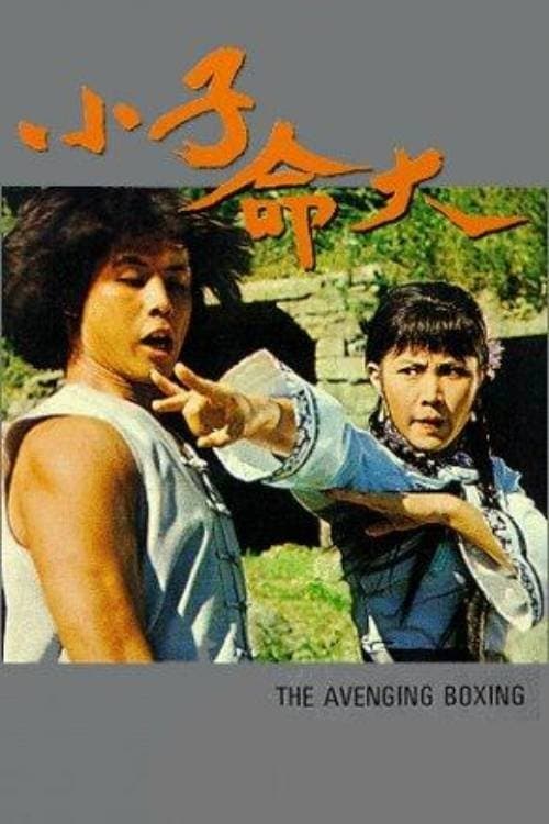 小子命大のポスター