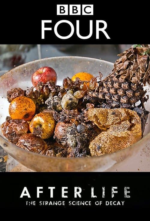 After Life: The Strange Science of Decayのポスター