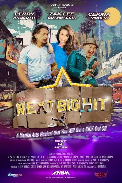 The Next Big Hitのポスター