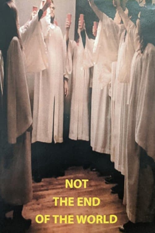 Not the End of the Worldのポスター