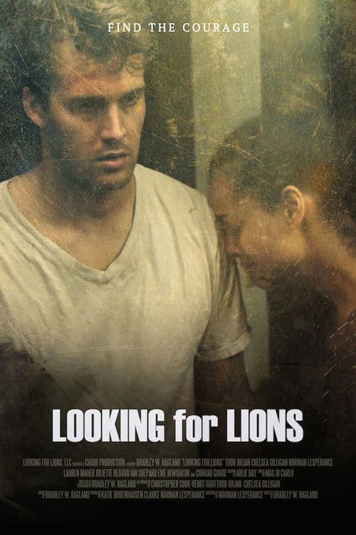 Looking for Lionsのポスター
