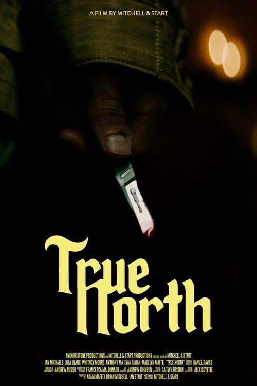 True Northのポスター