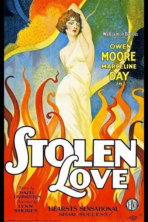 Stolen Loveのポスター