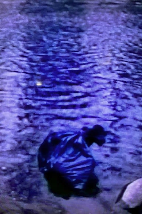 Today More Than Everのポスター