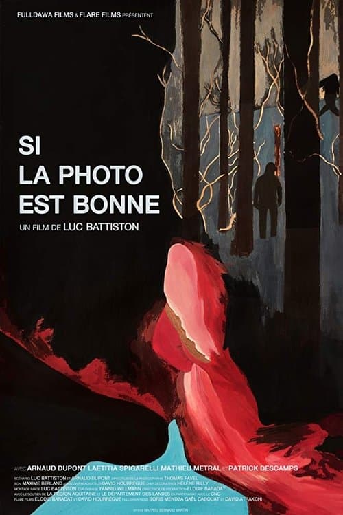 Si la photo est bonneのポスター