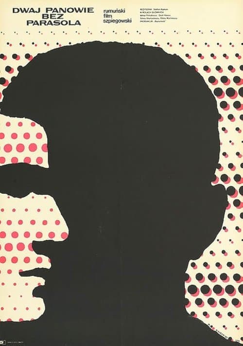 Simpaticul domn Rのポスター