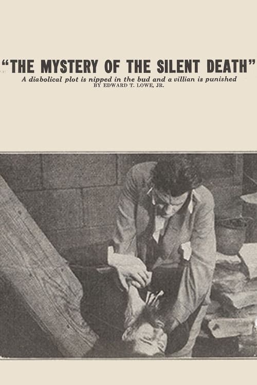 The Mystery of the Silent Deathのポスター