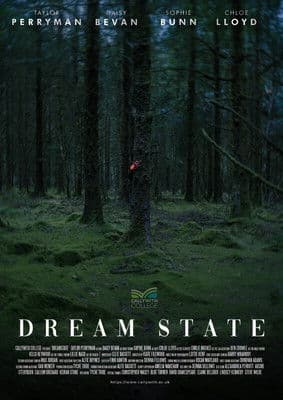 Dream Stateのポスター