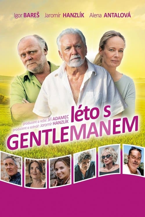 Léto s gentlemanemのポスター