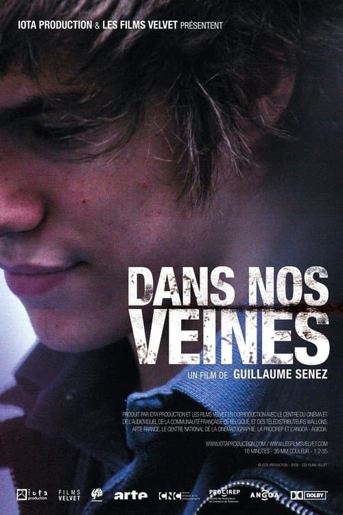 Dans nos veinesのポスター