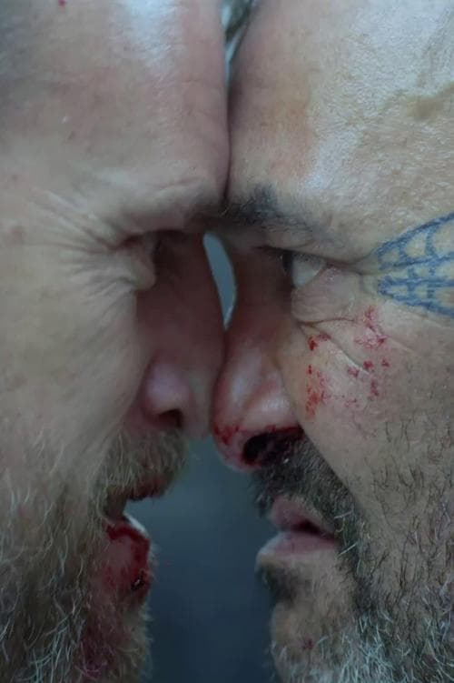 Elevationのポスター