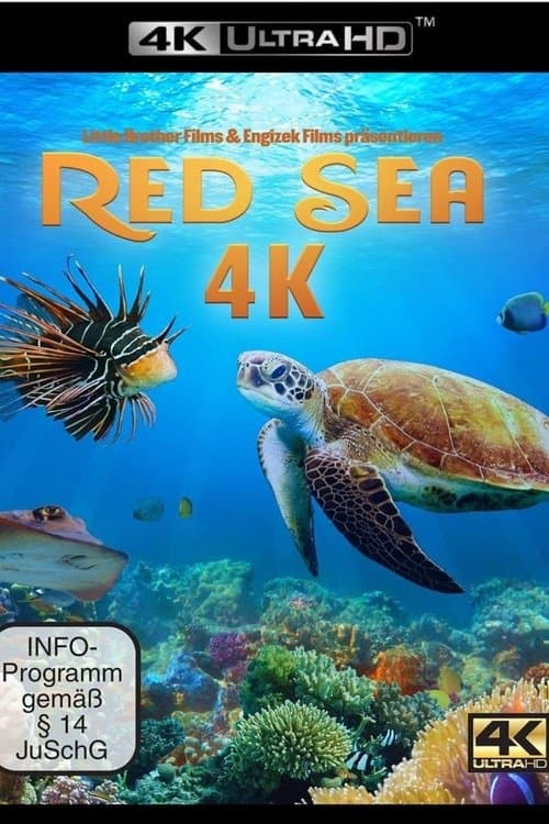 Red Seaのポスター