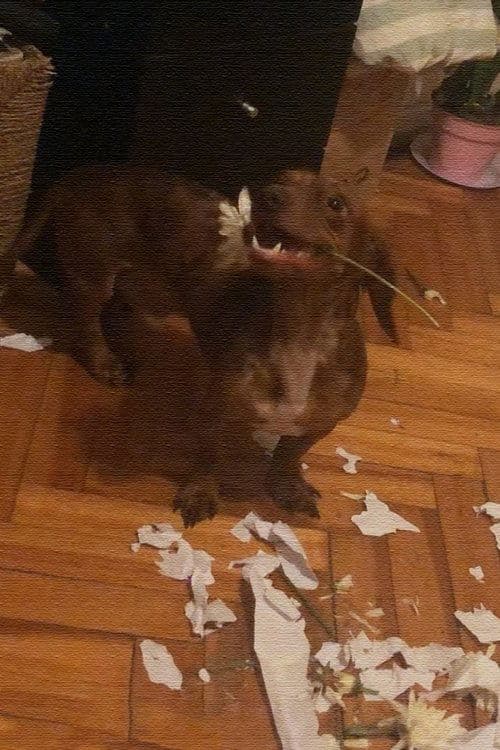 El Desayunoのポスター