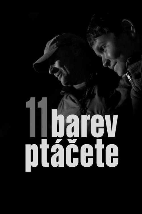 11 barev ptáčeteのポスター