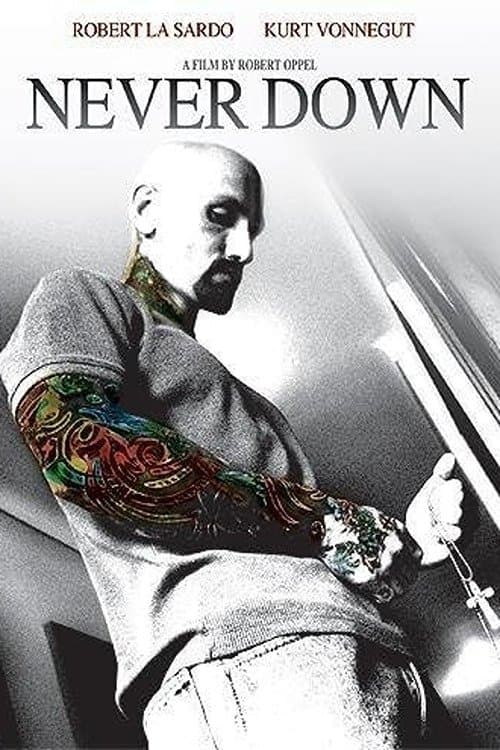 Never Downのポスター