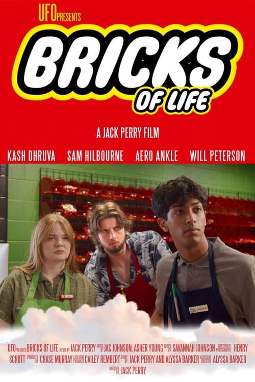 Bricks of Lifeのポスター