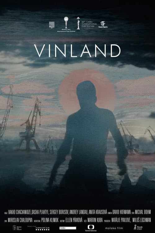 Vinlandのポスター