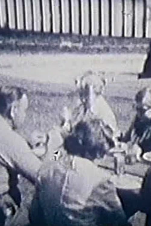 A Visit to Indianaのポスター