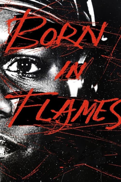 Born in Flamesのポスター
