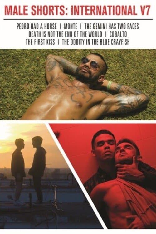 Male Shorts: International V7のポスター