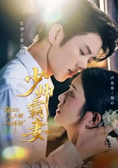 少帅霸妻，强扭的瓜不甜也得甜のポスター