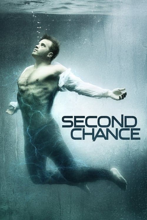 Second Chanceのポスター