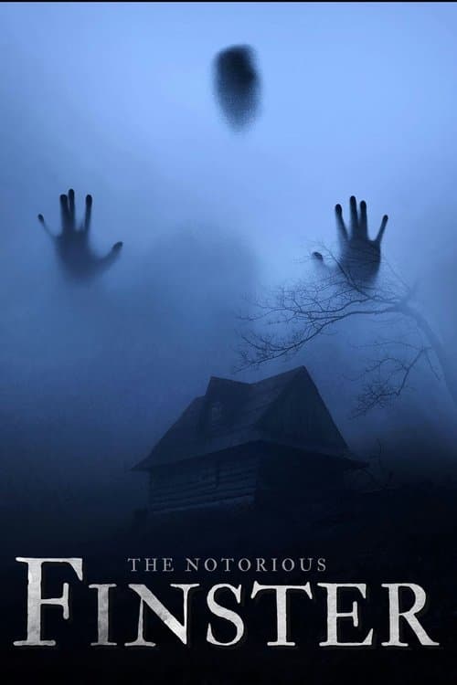 The Notorious Finsterのポスター