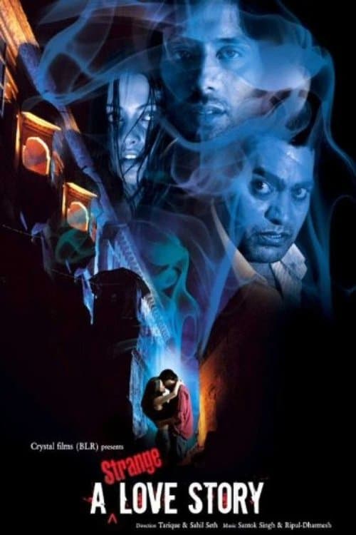 A Strange Love Storyのポスター