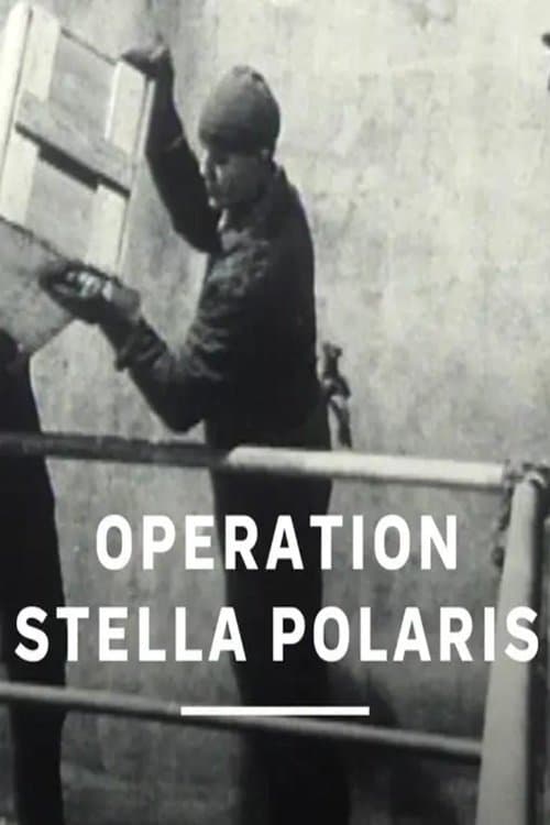 Operation Stella Polarisのポスター